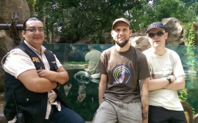New caiman pool at La Aurora Zoo