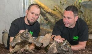 Celebrating Conservation Collaboration with National Reptile Zoo