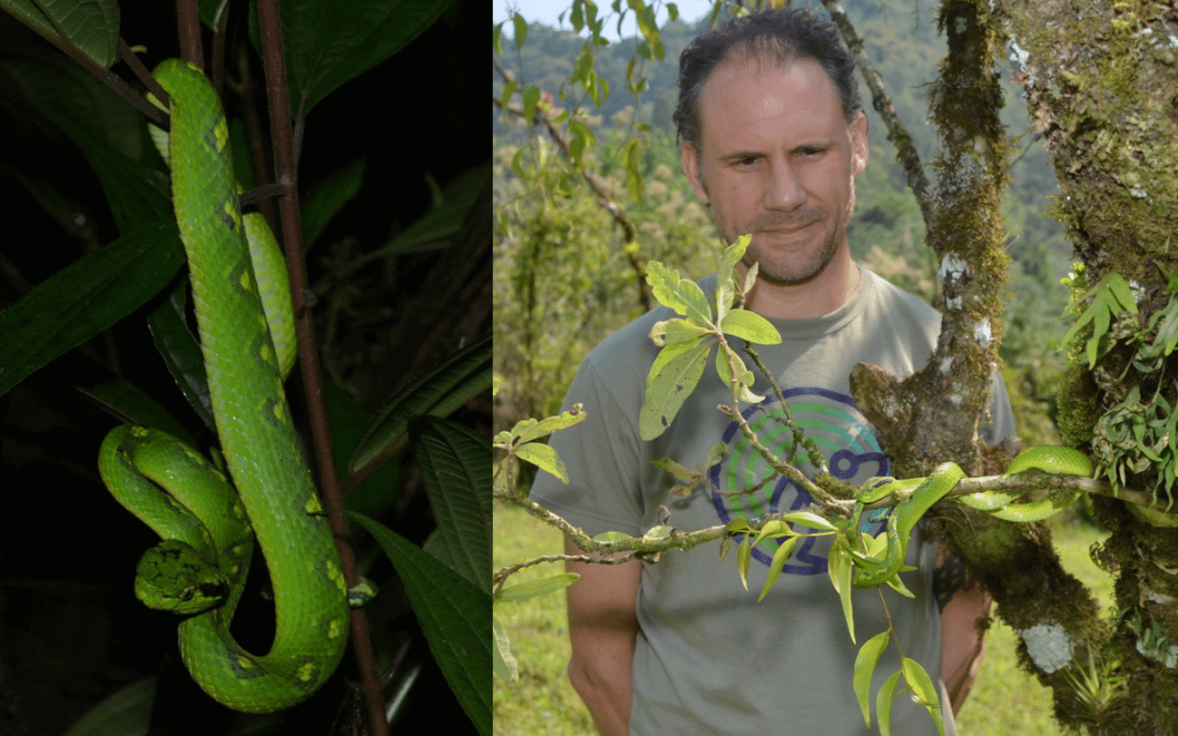 Close Encounters With Snakes – Memoirs of a Herpetologist